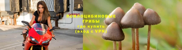 COCAINE Алзамай