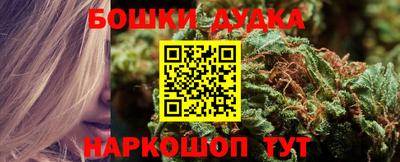 шишки Партизанск