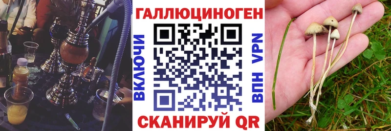 где продают наркотики  Сибай  Псилоцибиновые грибы Psilocybine cubensis 