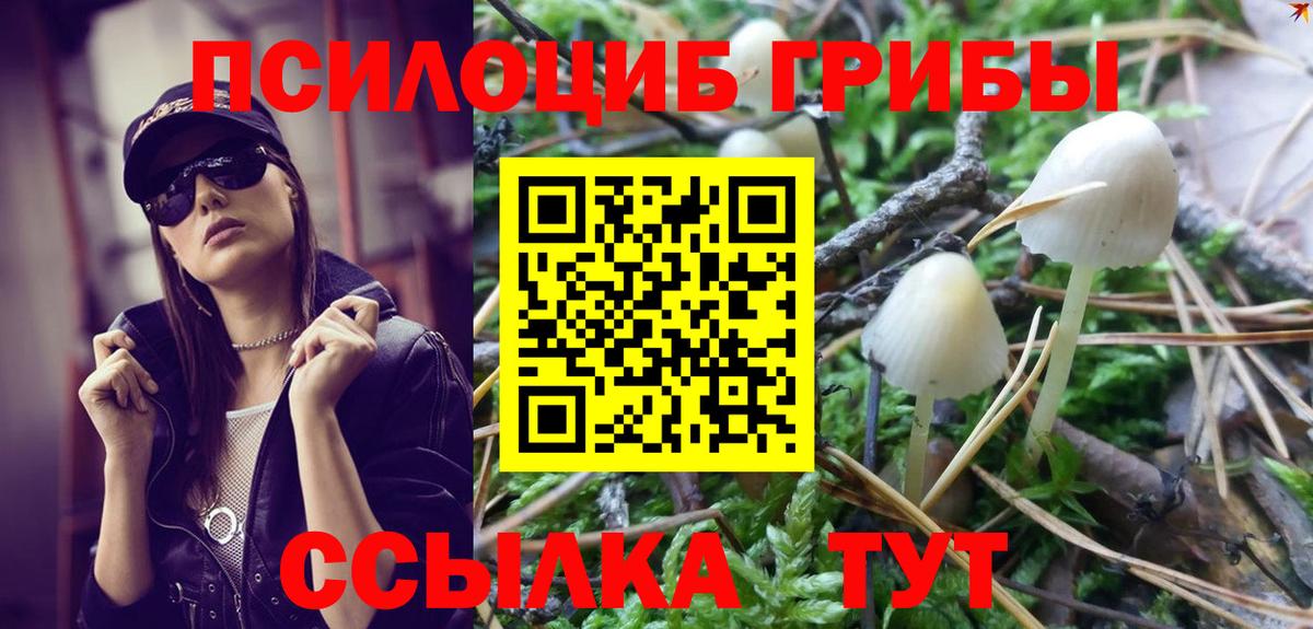 где продают наркотики  Вход с VPN  Сибай  Псилоцибиновые грибы Cubensis 