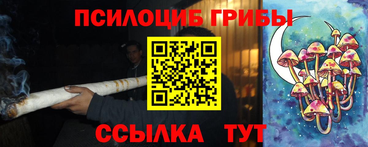 Псилоцибиновые грибы GOLDEN TEACHER Сибай