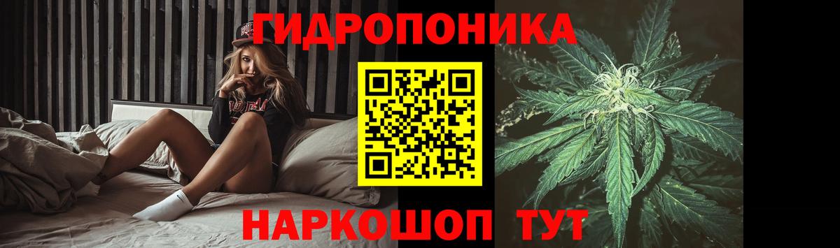 Каннабис Bruce Banner  Бошки марихуана OG Kush  Сибай  Бошки марихуана Bruce Banner  Вход с VPN 